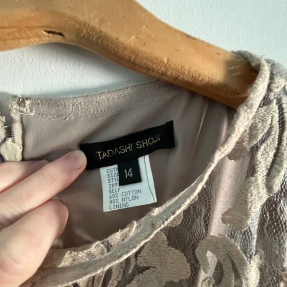 Tadashi Shoji Lace Overlay Dress in Sand, 14 - Picture 5 of 11